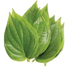 Fresh Betel Leaves (Paan Leaves /Vetrilai) pack