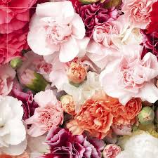 Fresh Assorted Pooja Flowers