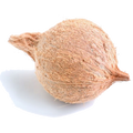 Fresh Coconut – Whole