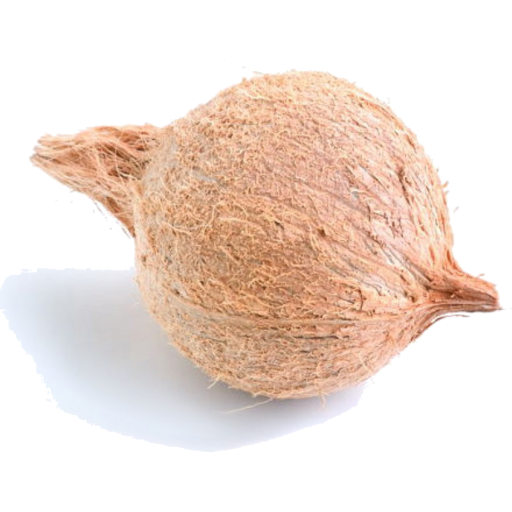 Fresh Coconut – Whole